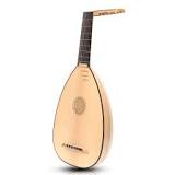 Image result for what is a course on a lute