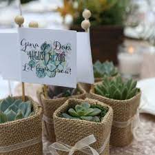50 Wedding Favors Succulent Wedding Favors With Customized Etsy Wedding Favors Succulent Wedding Favors Plant Puns