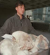 From amazing models to good cooking, a great deal goes into creating an ideal birthday meal. Why Is It Called The Hello Kitty Murder South China Morning Post