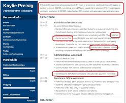 Professional Resume Profile Summary 25 Examples