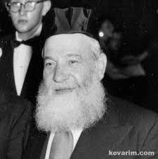 Rabbi Noach Garfinkel