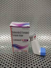 Inhaler errors in the critikal study: Budesonide Formoterol Fumarate Inhaler At Rs 400 Piece Sector 5 Panchkula Id 21740489762