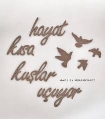 en hizli kuslar ucuyor