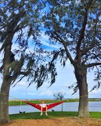 Plenty of limes and good times. The Best Places To Hammock In Florida Hammockliving