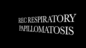 Dragulescu celesta pentru profesionalism, implicare, seriozitate, umanitate! Human Papilloma Virus Genotyping In Fresh Head And Neck Tumors Our First Experience Laryngeal Papillomatosis Tongue