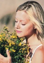 Gefährliches Johanniskraut"