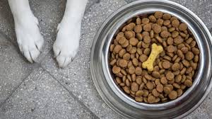 Al posto di pollo o carne bovina, dunque, la parte proteica di cui saranno composti sarà formata da carne equina, coniglio, agnello, maiale, selvaggina, pesce, e così via. Migliori Crocchette Per Cani Classifica Top 15 Al Mondo