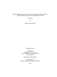 Image result for Amauropelta bergiana