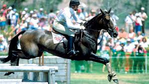 Maybe you would like to learn more about one of these? Olympic Eventer Julia Krajewski I Thought About Giving Up But Being Around Horses Is Just What I Love To Do H H Plus Horse Hound