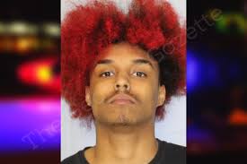 Charles Vinson — Hall County Jail Bookings