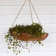 Add some seed and invite your feathered friends over for a visit.read more. Best Hanging Planters 2016 Apartment Therapy