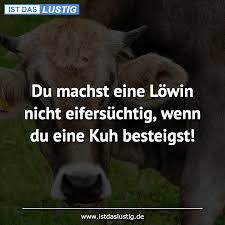 Du Machst Eine Lowin Nicht Eifersuchtig Wenn Du Eine Kuh Besteigst Gefunden Auf Www Istdas Nachdenkliche Spruche Witzige Spruche Lebensweisheiten Spruche