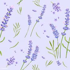 Draw a line the length of the lavender stem. Download Premium Vector Of Hand Drawn Lavender Flower Pattern 421508 Flower Drawing Lavender Flowers How To Draw Hands