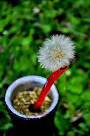 El Terere Es El Mate Frio De Paraguay Y Corrienrs En Argentina Yerba Mate Yerba Mate Tea