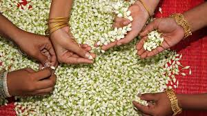 Indian culture has a very special place for plants and animals. Bbc Travel India S Auspicious Flowers