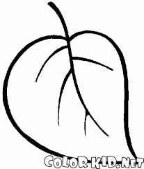 Hojas De Arbol Para Colorear