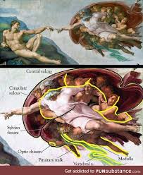 Saatchi art is the best place to buy artwork online. Did You Know That Michelangelo S Painting In Sistine Chapel Represent A Half Brain Funsubstance Michelangelo Paintings Michelangelo Painting