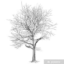 Sticker Grote Kale Boom Zonder Bladeren Sakura Boom Hand Getekende Pixers We Leven Om Te Veranderen In 2020 Boomtekening Sakura Bladeren