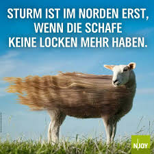 Sturm Im Norden Freitag Spruche Lustig Echt Lustig Bilder Lustig