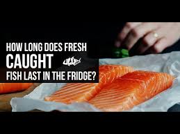 This means that you can buy smoked salmon in bulk and freeze most of it as is. How Long Does Fresh Caught Fish Last In The Fridge Youtube