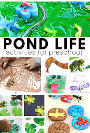 Hands on learning activities for preschool {episode 3}. Pond Life Activities No Time For Flash Cards