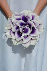 Vibrant Bridal Bouquet With Purple Centred White Picasso Lilies Weddingbouquets Lily Bouquet Wedding Calla Lily Bouquet Wedding Purple Calla Lilies