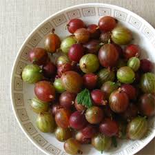 Check spelling or type a new query. Aus Valentinas Kuche Die Stachelbeere Valentinas Best Of Cookbooks