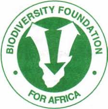 Image result for Megalochlamys hamata