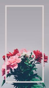 Weitere ideen zu blumentapete, tapeten, tapeten günstig. Wallpaper Para Iphone Iphone Para Planodefundo Wallpaper Hintergrund Iphone Hintergrundbilder Blumen Blumentapete