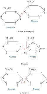 Monosaccharides An Overview Sciencedirect Topics