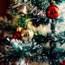 Als einstimmung auf das große fest mit dem echten baum empfiehlt es sich, verschiedene tannenbäume aus papier herzustellen. Weihnachtsbaum Ursprung Geschichte Und Bedeutung Sciodoo