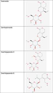 Image result for Swertia kilimandscharica