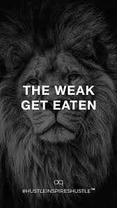 Eat and be eaten. — w.h. 56 Best Fitness Motivation Quotes With Free Wallpapers Hustle Inspires Hustle