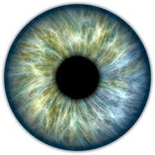 Iridology Diploma Course Centre Of Excellence