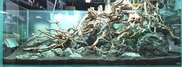 Hardscape By Takuya Iizumi Driftwood Aquascaping Pin By Aqua Poolkoh Aqua Aqua Aquascaping Driftwood Aquarium Landscape Biotope Aquarium Aquascape