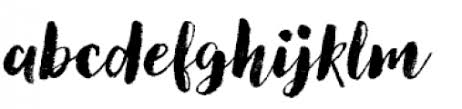 Download your favorite fonts and upload them to visme for use in all of your designs. Canvas Script Heavy Font What Font Is