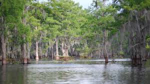 April 30 2018 Environmental Groups Are Suing The Army Corps Of Engineers Over The Building Of A Cr Yard Maintenance Lawn Care Checklist North America Travel