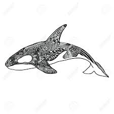 Welcome to one of the largest collection of coloring pages for kids on the net! Ethnic Animal Doodle Detail Pattern Killer Whale Illustration Royalty Free Cliparts Vectors And Stock Illustration Image 64570797