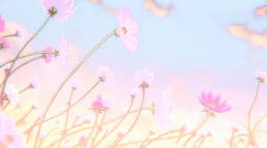 Header Is Not Mine Tumblr Welcome to animangaboys, a blog dedicated to all the male characters from any manga/anime, manhwa or webtoon, and your creations.