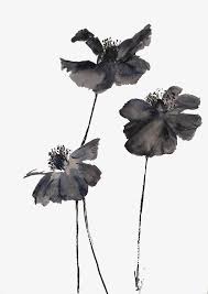 Black Ink Flowers Flowers Material Watercolor Flowers Black Flowers Png Transparent Clipart Image And Psd File For Free Download Japanese Watercolor Japanese Painting Poppy Painting
