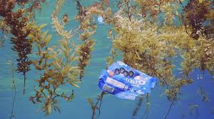 Catarina paolino deepfake i believe she has a heritage that