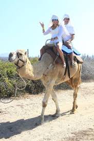 Gentle nature walk through untouched desert vegetation with a knowledgeable guides who will. Outback Camel Safari Excellent Adventure Day Fun Fun Fun Picture Of Grand Fiesta Americana Los Cabos All Inclusive Golf Spa Cabo San Lucas Tripadvisor