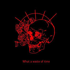 The democratic senatorial campaign committee. Skeleton Aesthetic