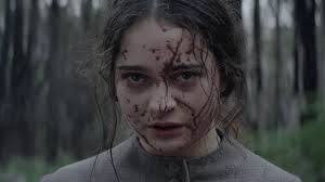 Bushes and trees covered in eerie web created by army of caterpillars