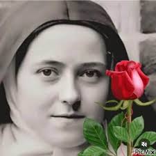 Questo è infatti il ​​mistero della mia vocazione, di tutta la mia vita e  soprattutto il mistero dei privilegi di Gesù sulla mia anima... Egli non  chiama coloro che sono degni, ma