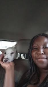 Update: Owner was found!! The microchip had connected me with the original  owner who was not interested in taking the dog. But the current owner had  been searching the area for days