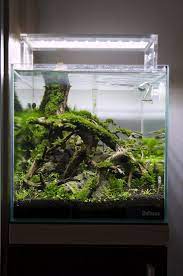 Split 12 Aquascape Design Aquarium Landscape Aquascape