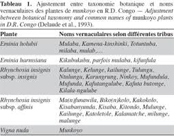 Image result for Eminia antennulifera