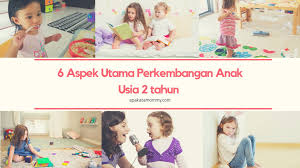 Perkembangan anak 2 tahun memang diketahui sangat cepat dan juga bisa menangkap berbagai macam informasi dengan tanggap. Perkembangan Anak Umur 2 Tahun Apakata Mommy