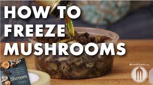 How To Preserve And Store Fresh Mushrooms Marx Foods Blog